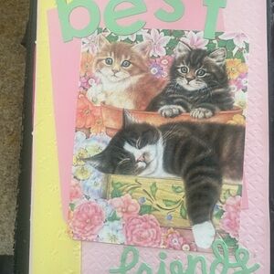 Colorful Cat Journal